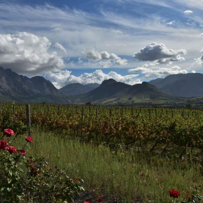 África do Sul - Vinícola em Franschhoek