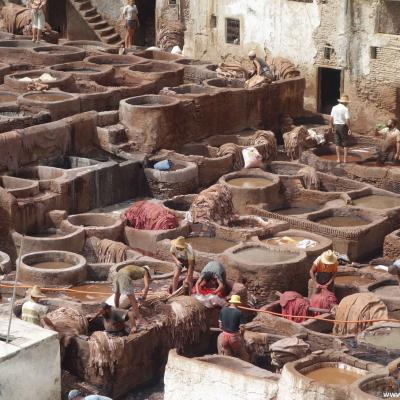 Marrocos - Trabalhadores no curtume em Fez