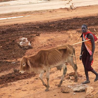 Tanzânia - Maasai pela estrada