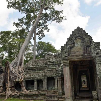 Camboja - Angkor Wat