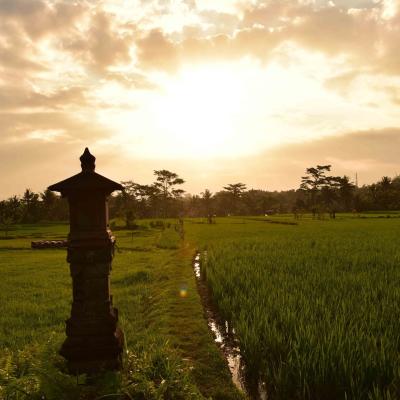 Indonésia - Pôr-do-sol em Ubud