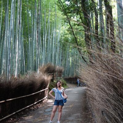 Japão - Bamboo Path em Kyoto