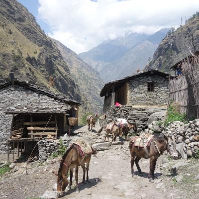 Nepal - Vilarejos pela trilha