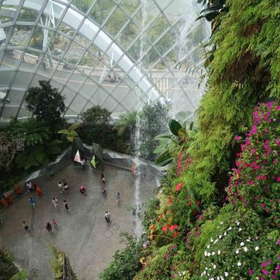 Singapura - Cloud Forest vista do alto