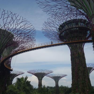 Singapura - Gardens by the Bay