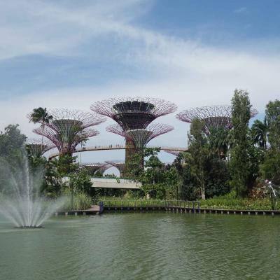Singapura - Supertree Grove, Gardens by the bay