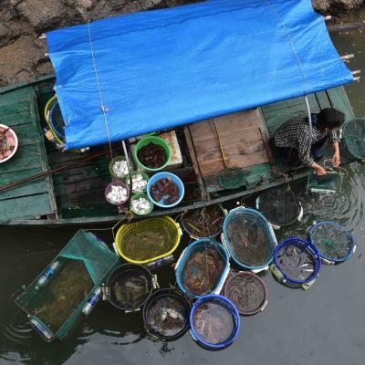 Vietnã - Mercado de peixe em Halong Bay