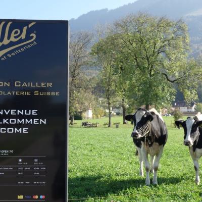 Suíça - Vilarejo de Broc na fábrica Cailler