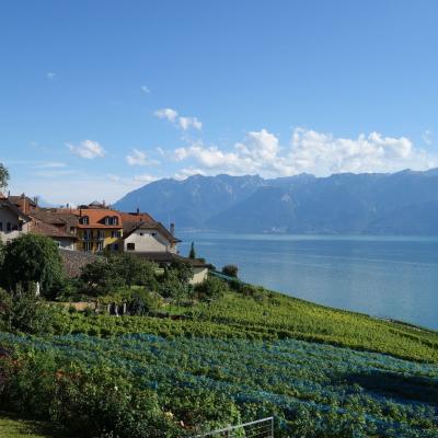 Suíça - Vista do lago de Genebra
