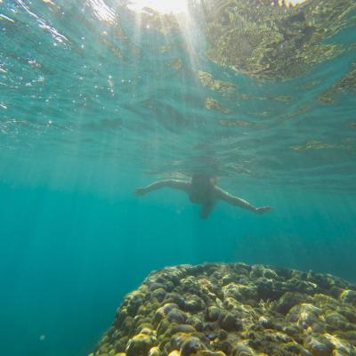 Fiji - Em Mantaray, explorando o mar