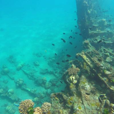 Ilhas Salomão - Navio submerso em Bonege