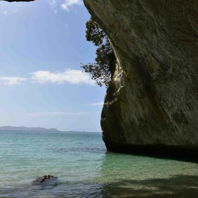 Nova Zelândia - Cathedral Cove, península de Coromandel