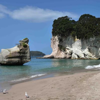 Nova Zelândia - Cathedral Cove