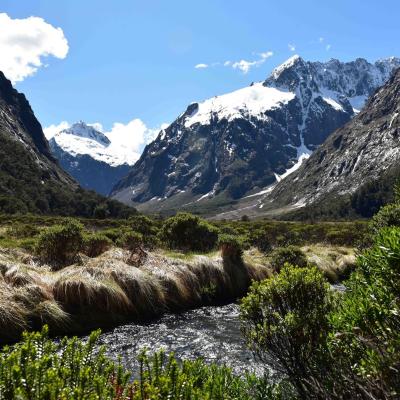 Nova Zelândia - Estrada rumo a Milford Sound