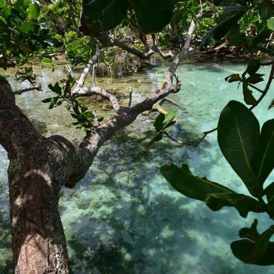 Vanuatu - Na famosa Blue Lagoon